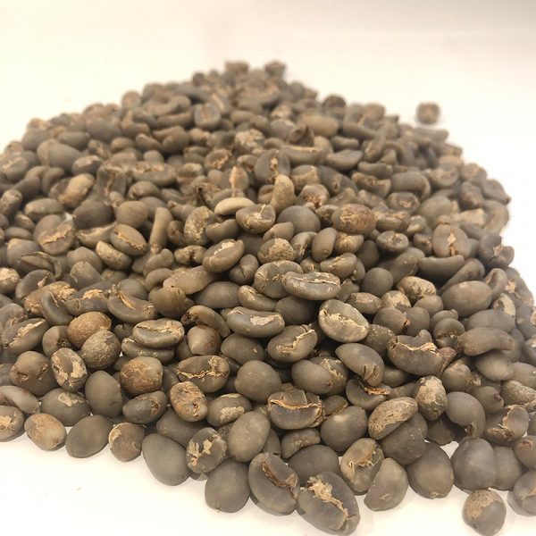 GAYO SUMATRA ARABICA GREEN COFFEE BEANS