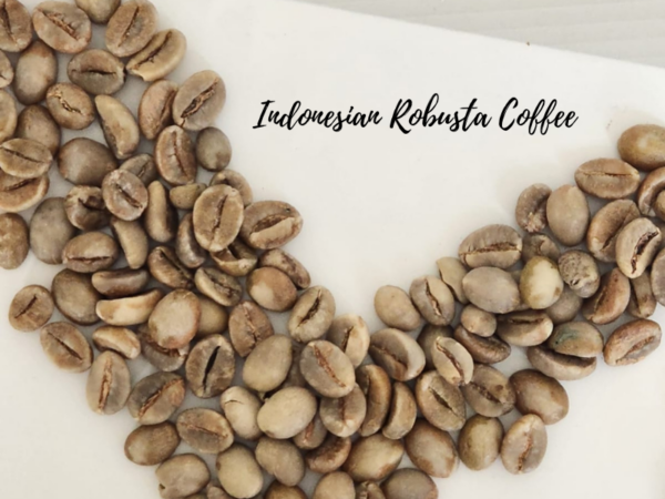 indonesian coffee supplier