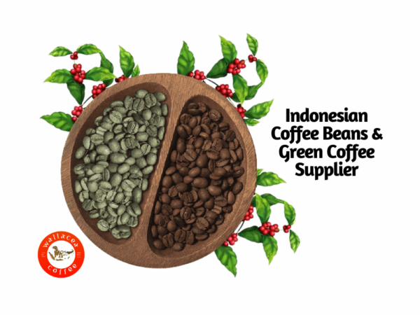 indonesian coffee beans and green coffee supplier