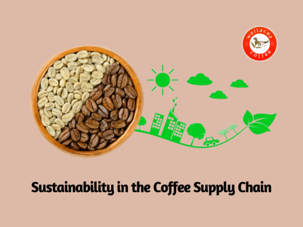 coffee sustainability