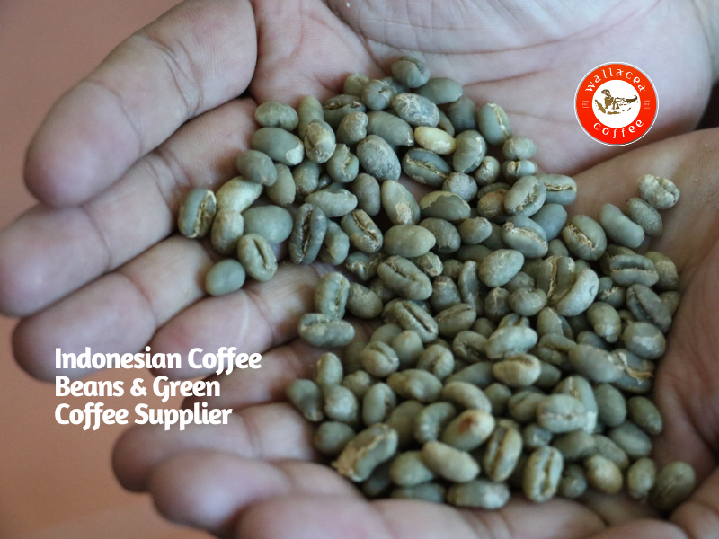 indonesian coffee beans