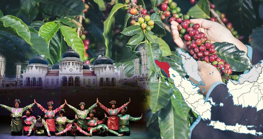Image of Gayo Sumatra coffee and Acehnese culture