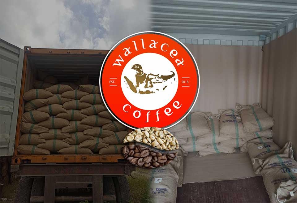 Image of green beans coffee shipping process