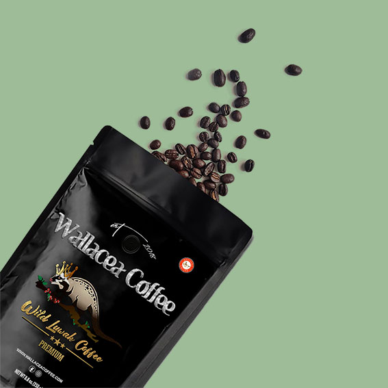Ground Civet Cat Coffee - Wallacea Coffee