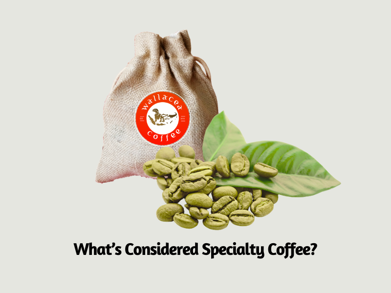 specialty coffee definition