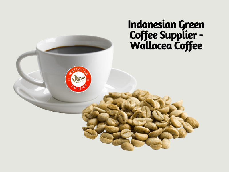 indonesian green coffee supplier