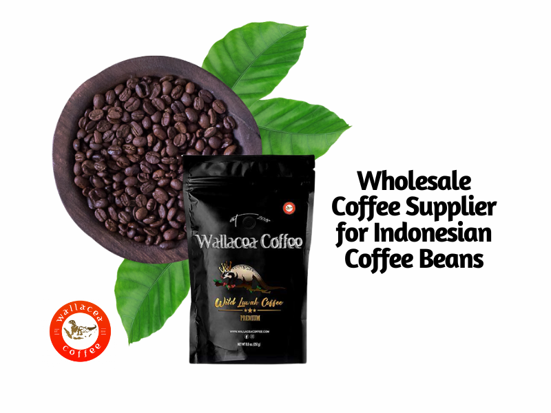 wholesale coffee supplier