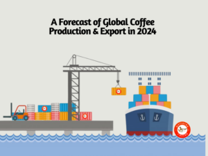 global coffee production & export in 2024