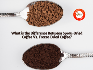 The difference between Spray-Dried Coffee vs. Freeze-Dried Coffee