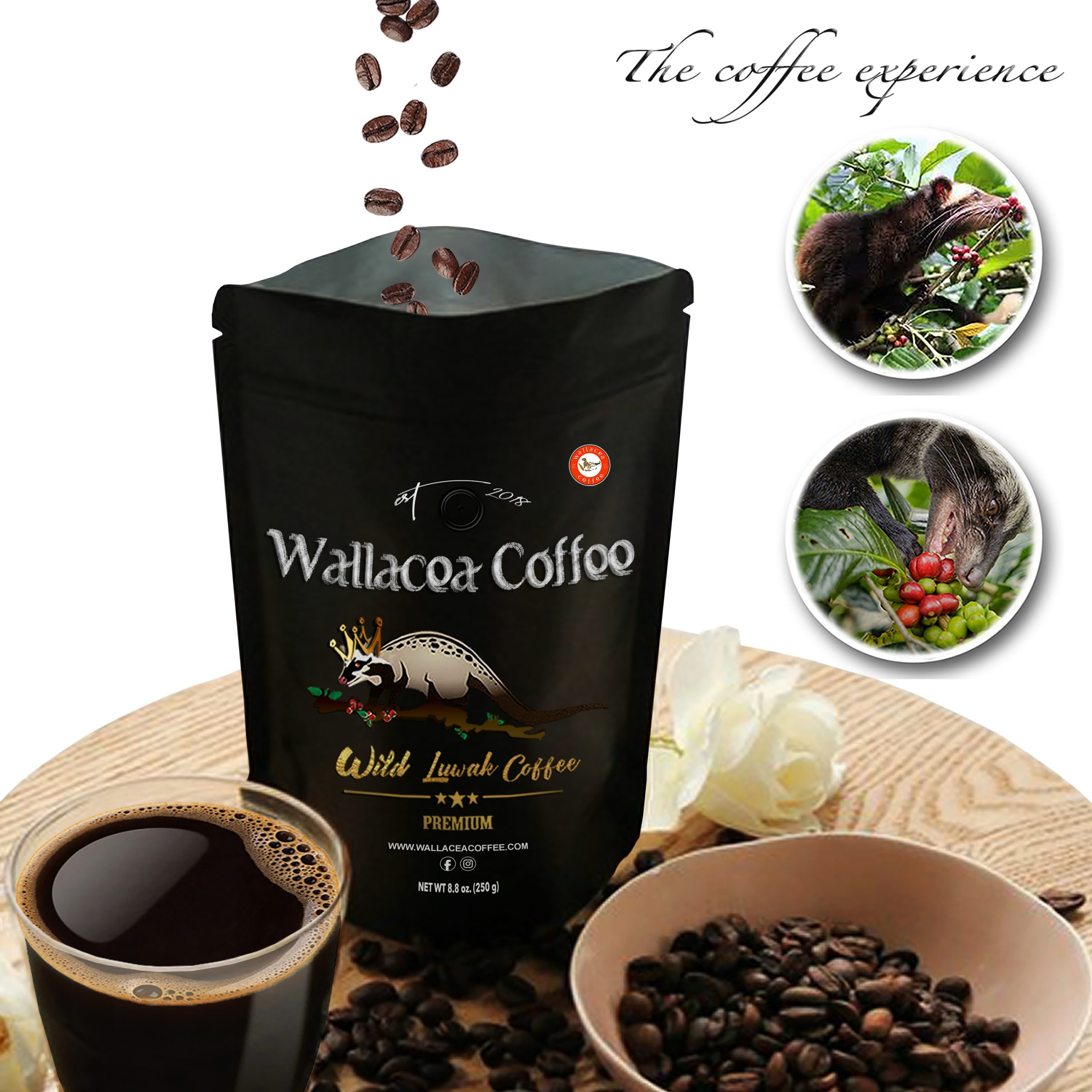 Wild Kopi Luwak Coffee Whole Coffee Beans 250 Grams 8 8 Oz Whole Bean Wallacea Coffee